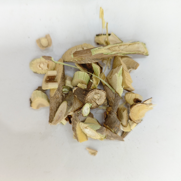 Muitas agulhas (Acanthopanax senticosus)