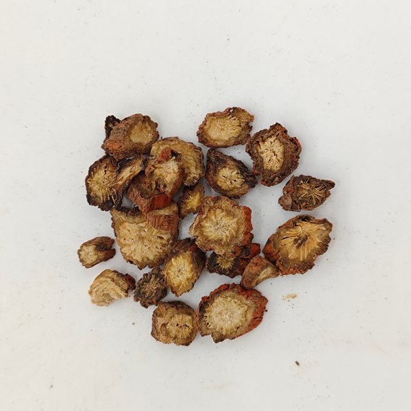 Sálvia miltiorrhiza