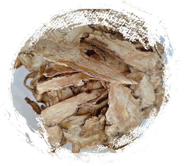 O que torna as plantas herbáceas da MTC tão poderosas? Características explicadas