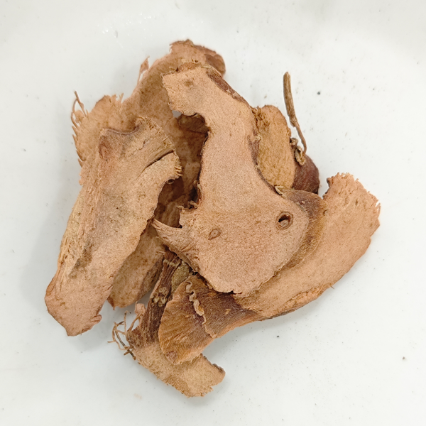 Galangale menor (Kaempferia galanga)