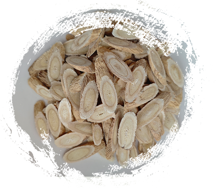 As 10 principais plantas medicinais usadas na Medicina Tradicional Chinesa (MTC)