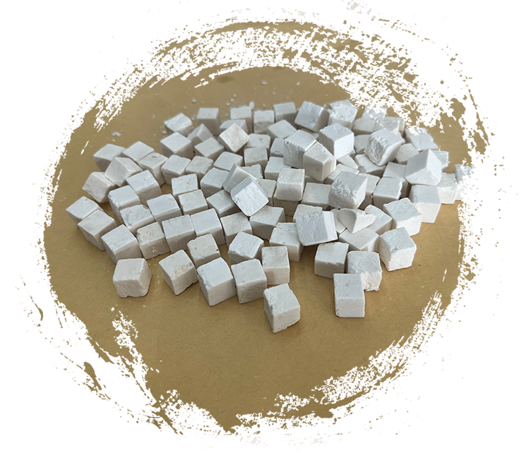 Wolfiporia extensa (um fungo que apodrece a madeira)