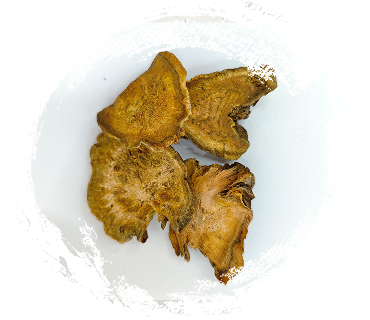 Um mergulho profundo nos usos de plantas medicinais na medicina tradicional chinesa