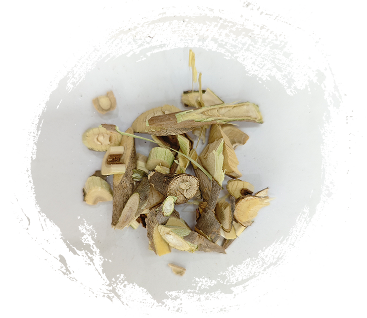 Muitas agulhas (Acanthopanax senticosus)