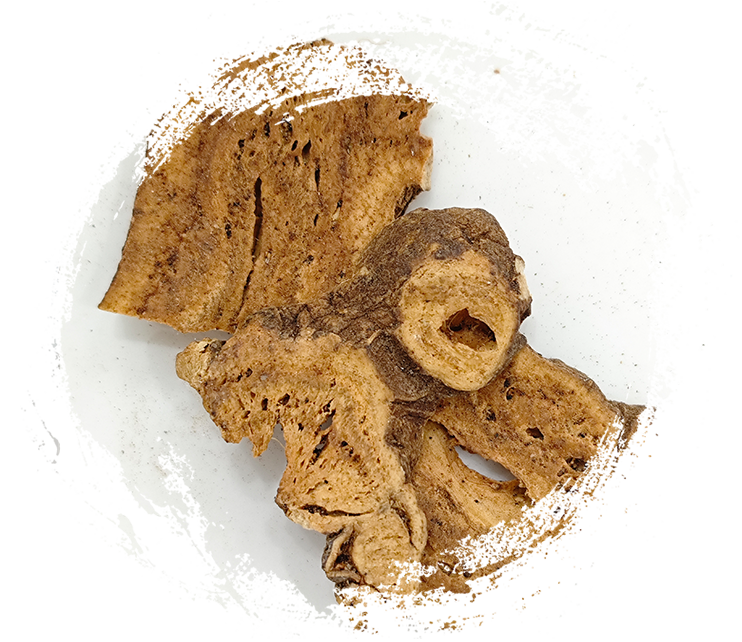 Atractylodes macrocephala assado