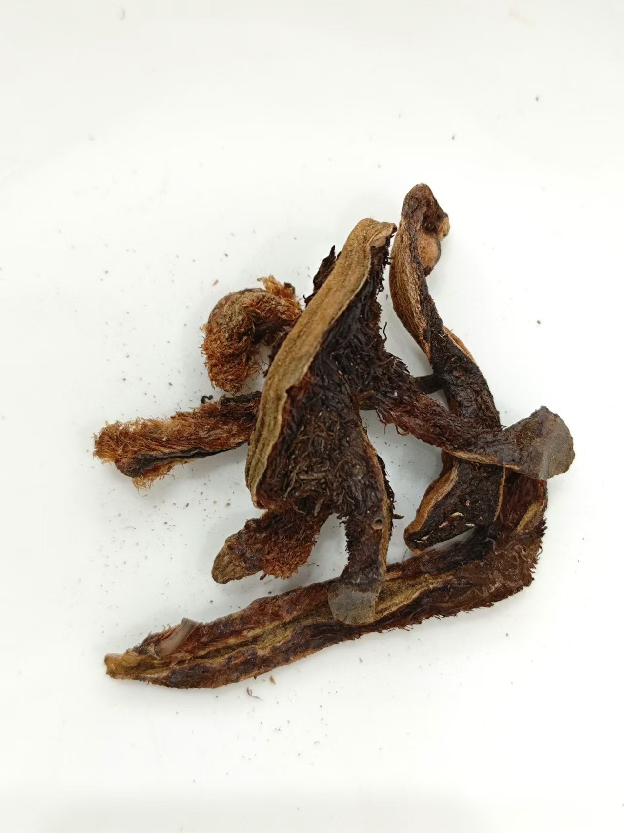 Reparo de fragmentos ósseos