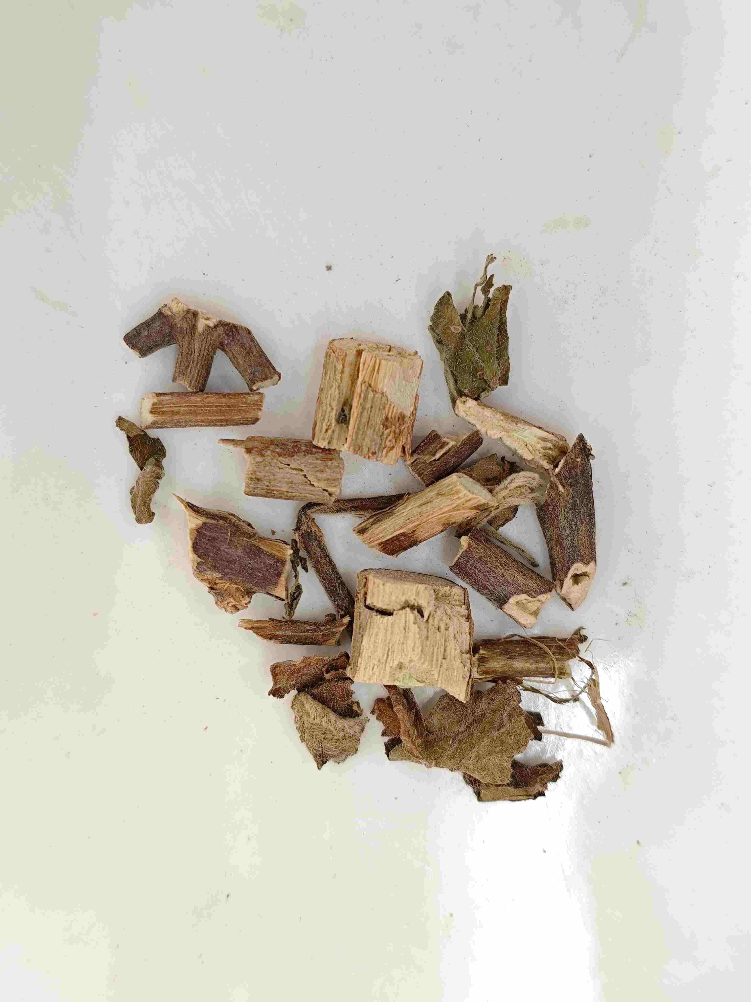 BEGGARWEED DO RAMBLING