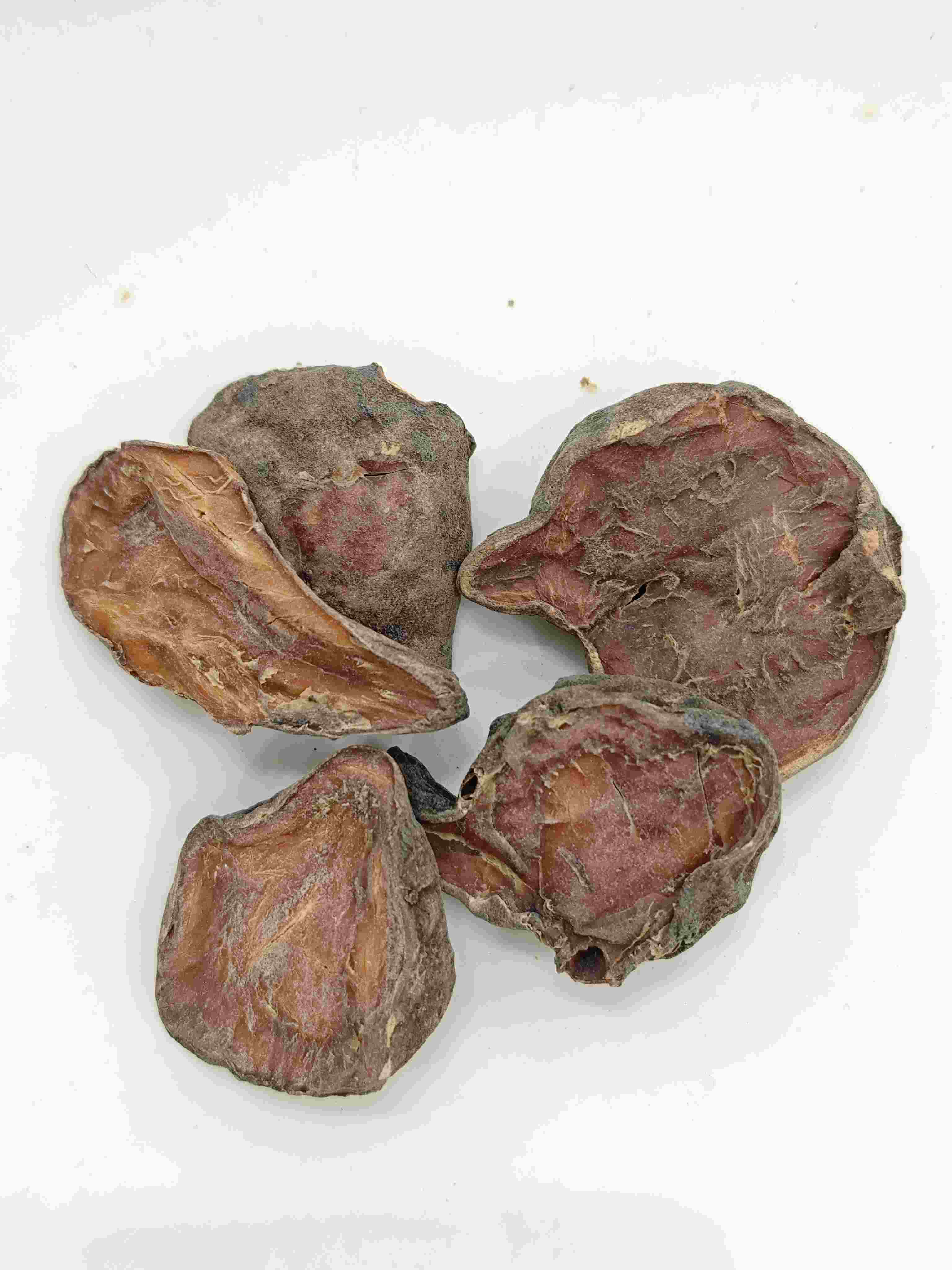 Fatia de aconita preparada, paofupian