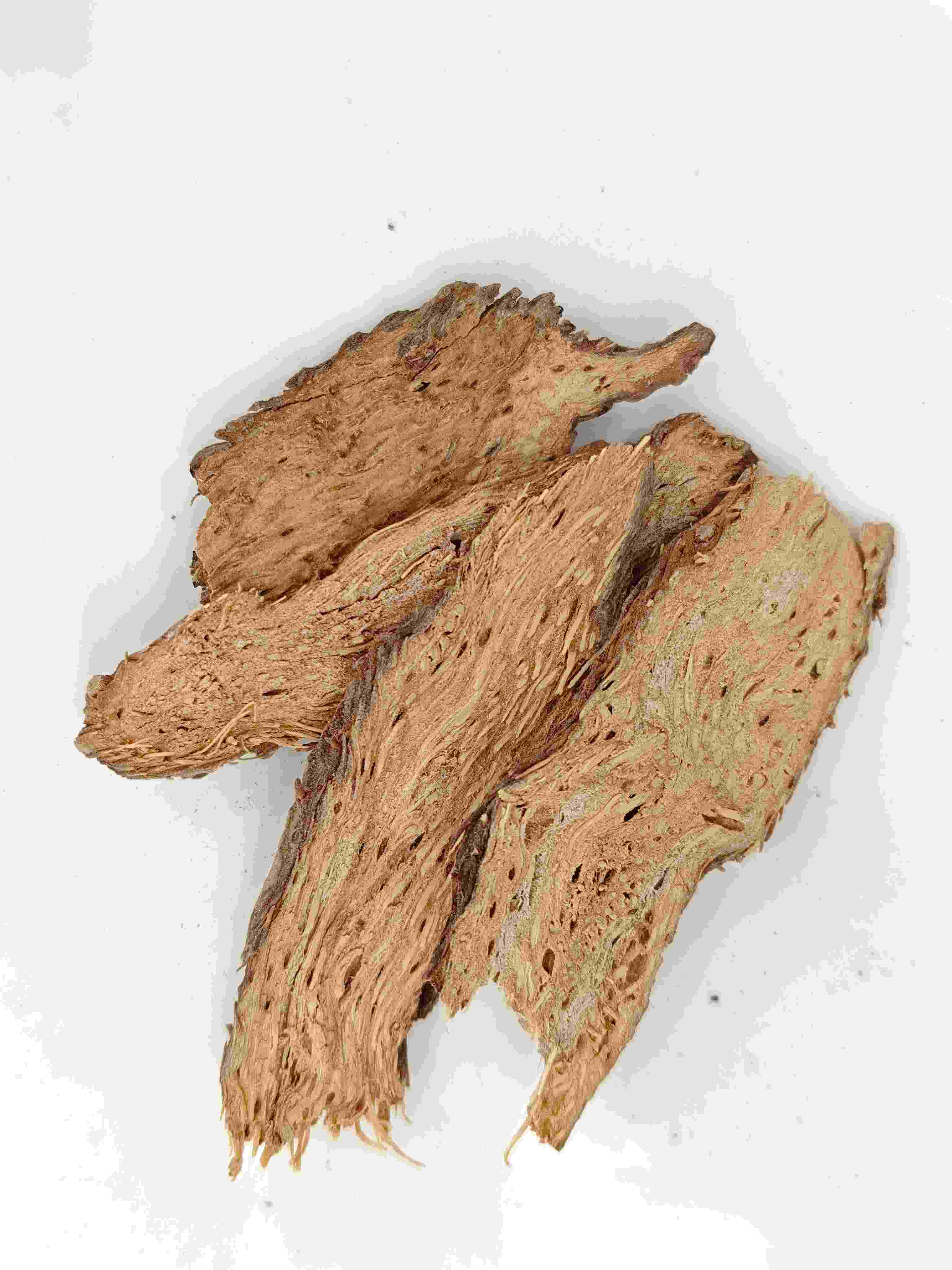 Homalômenos, Qian Nian Jian