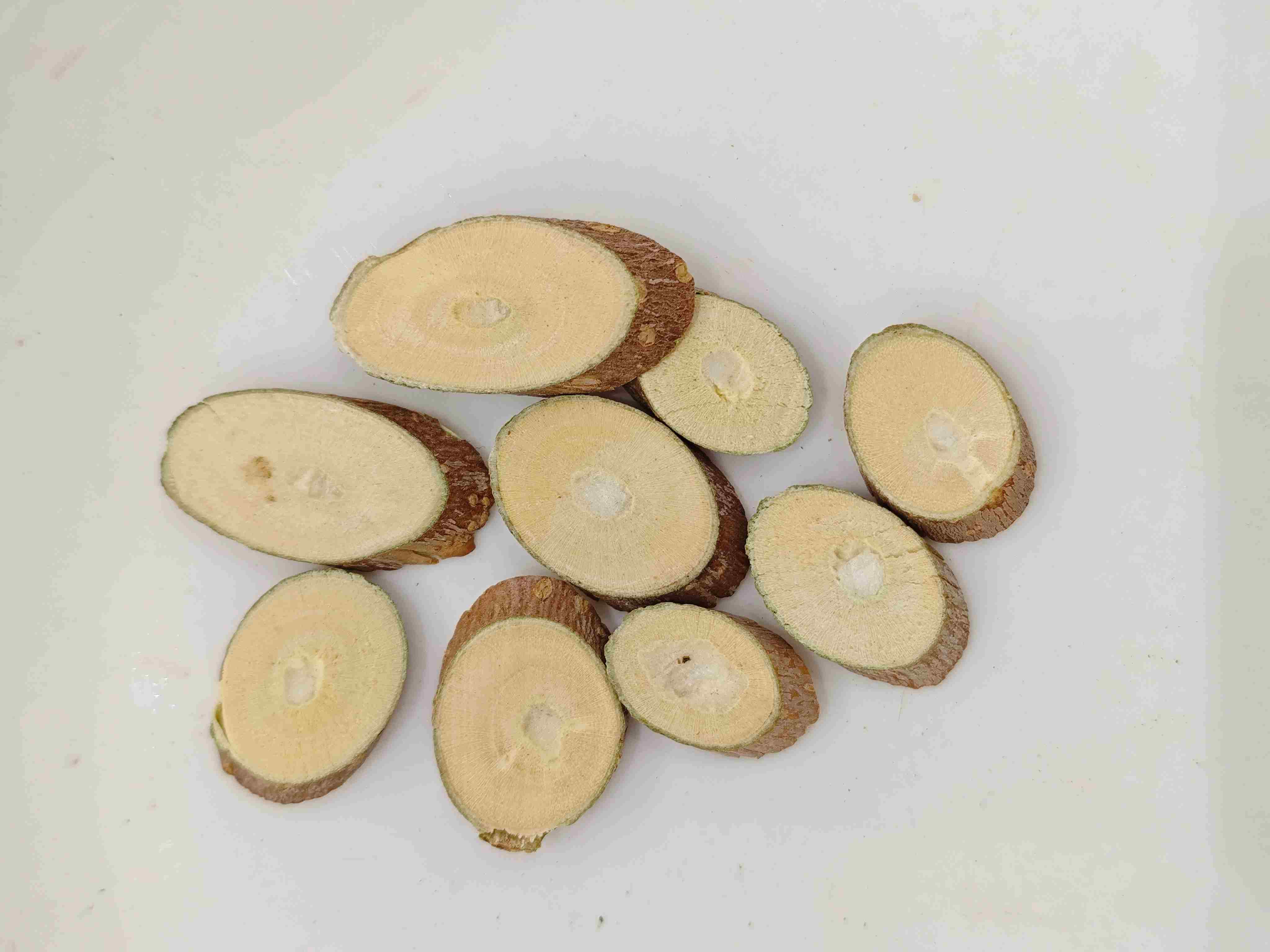 Filial Mulberry (Sangzhi)