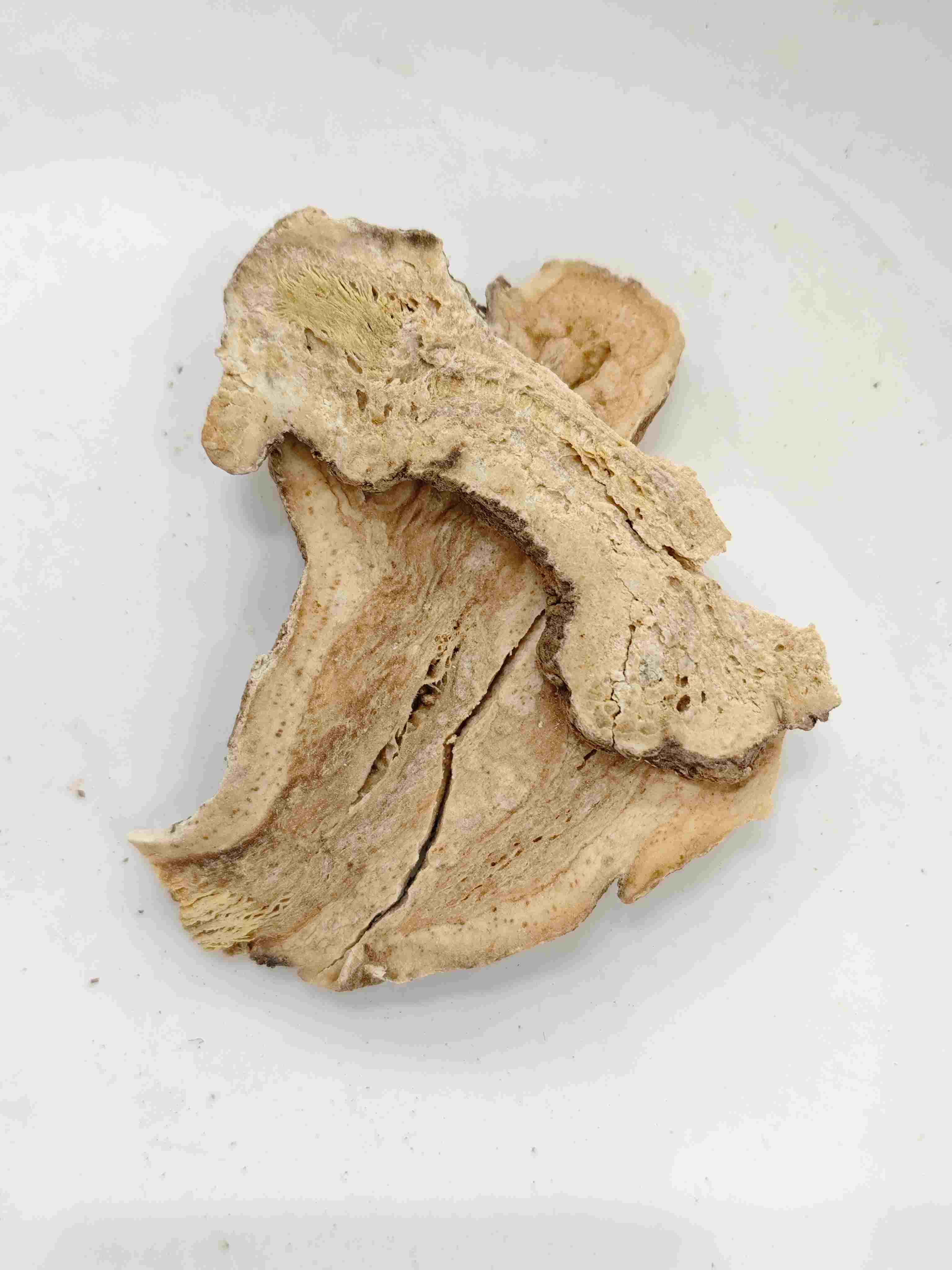 Rizoma de Atractylodes (Sheng Baizhu)
