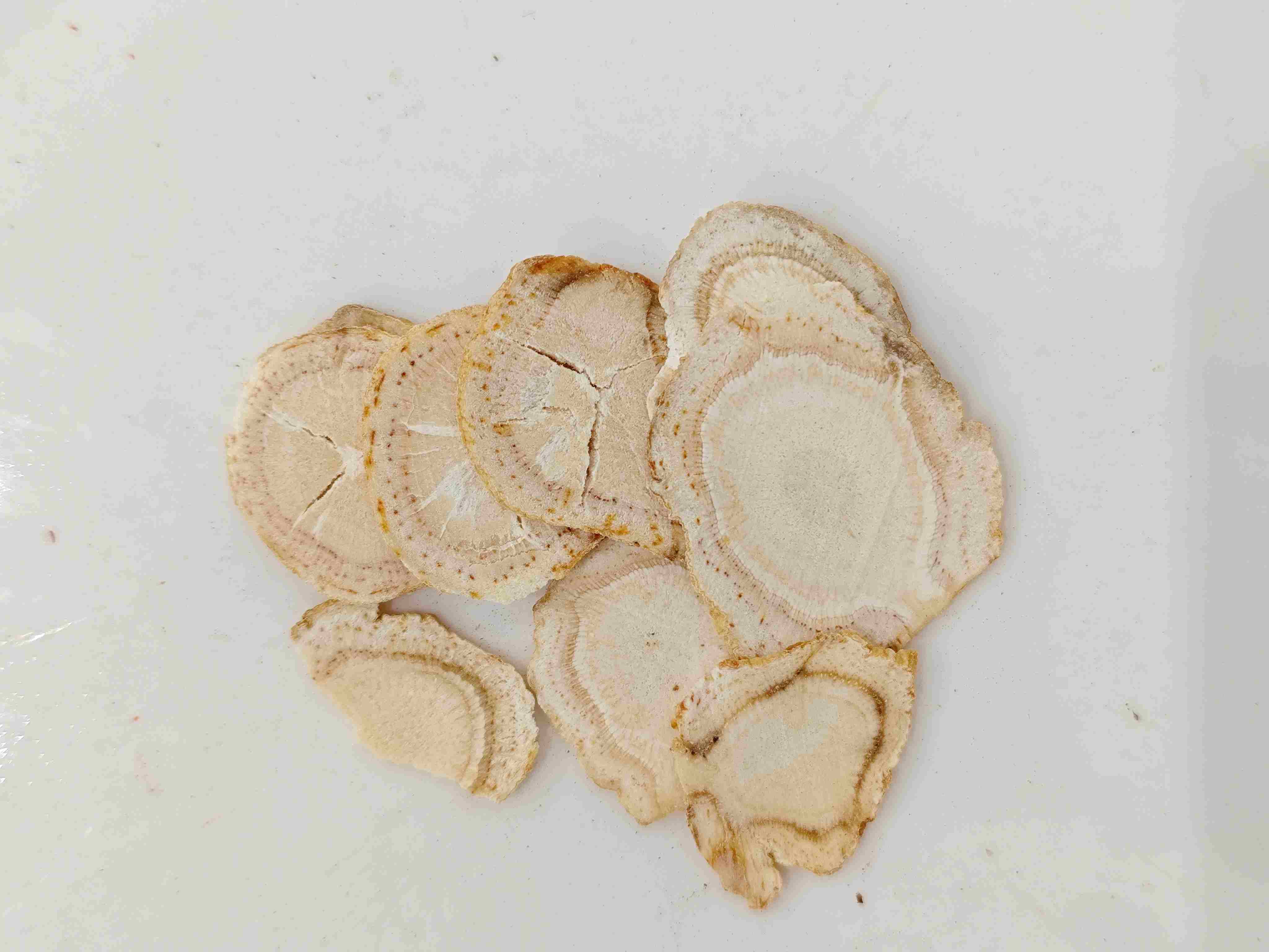 American Ginseng (Xiyangshen)