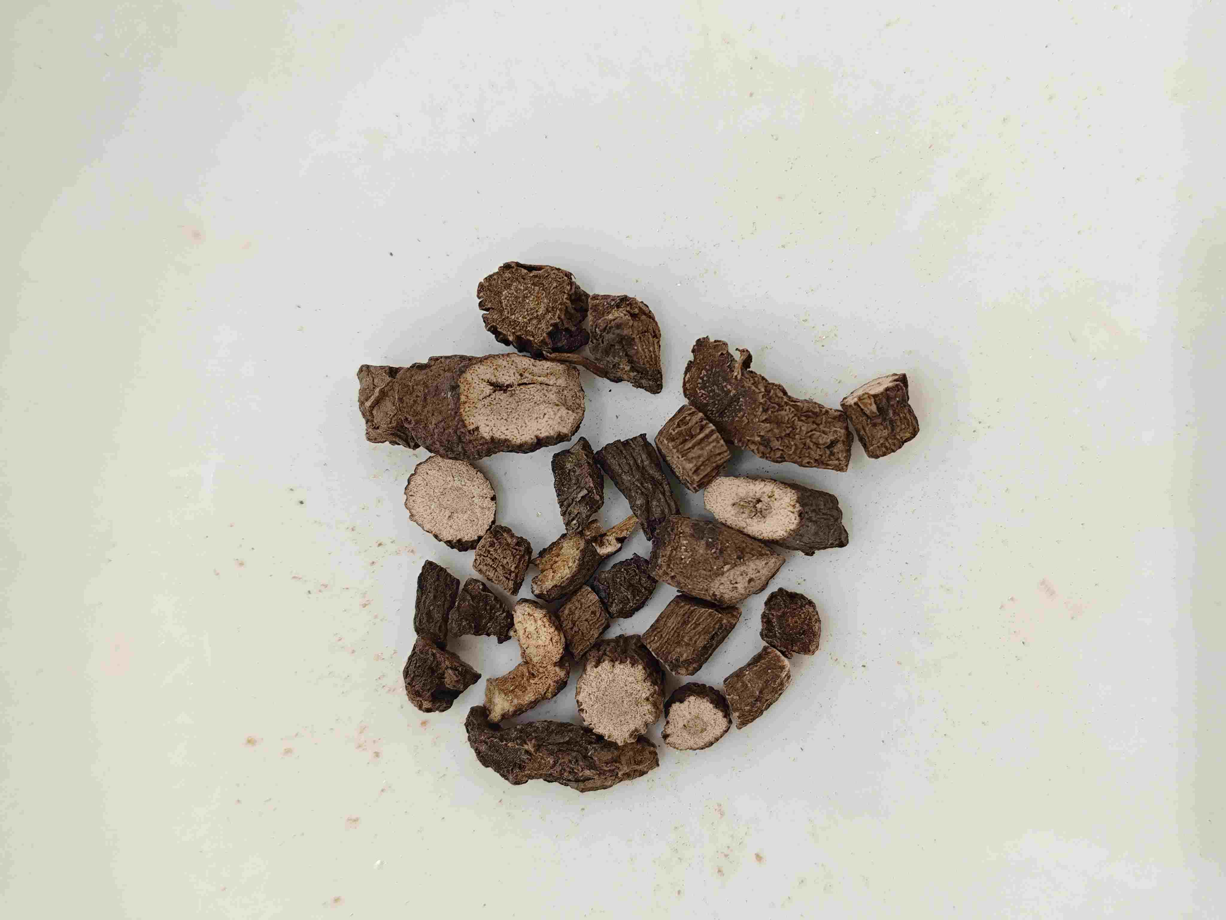 Rizoma curculigo (Xianmao)