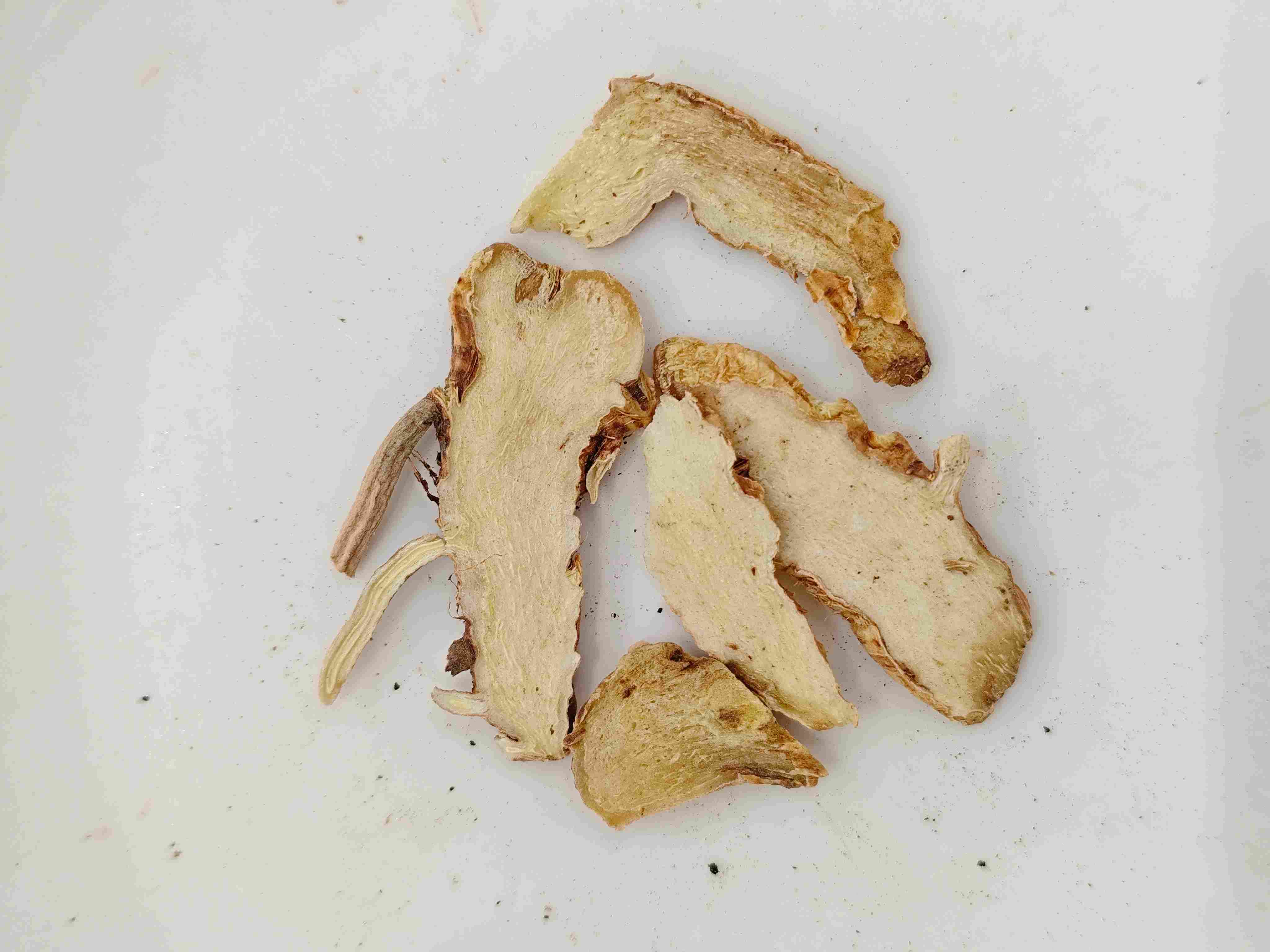 Rizoma de AneMarrhena (Zhimu)