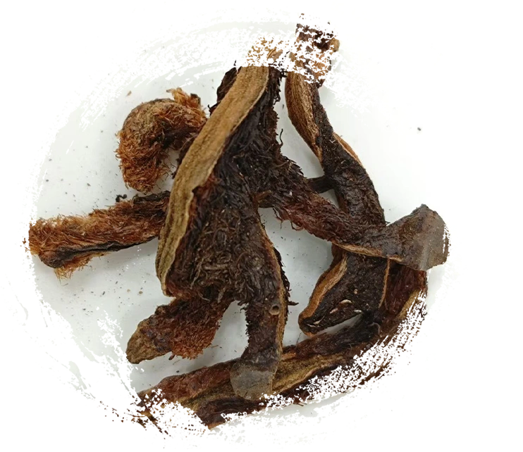 Reparo de fragmentos ósseos