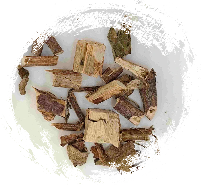 BEGGARWEED DO RAMBLING