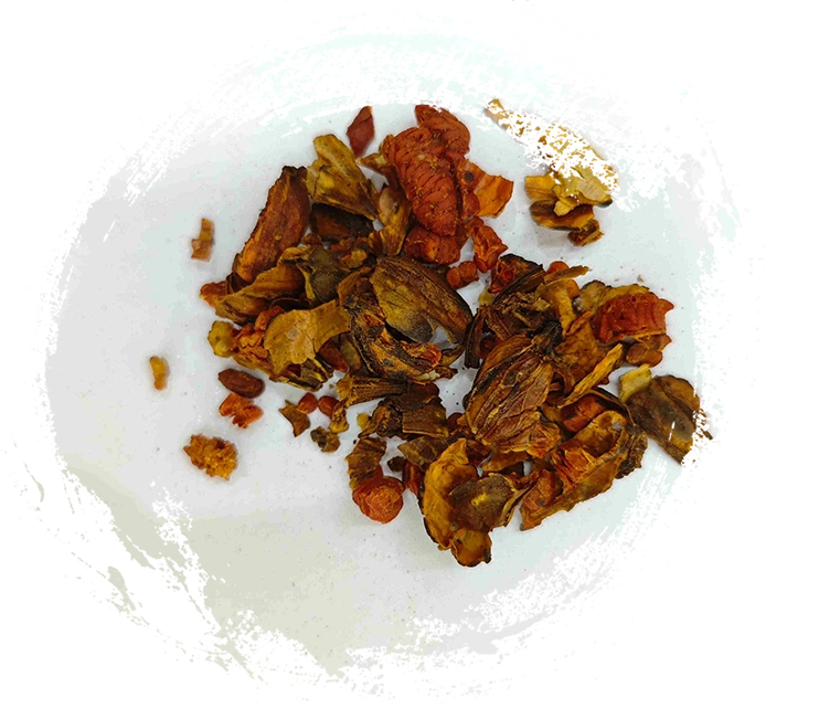 Gardenia queimada, Jiaozhizi