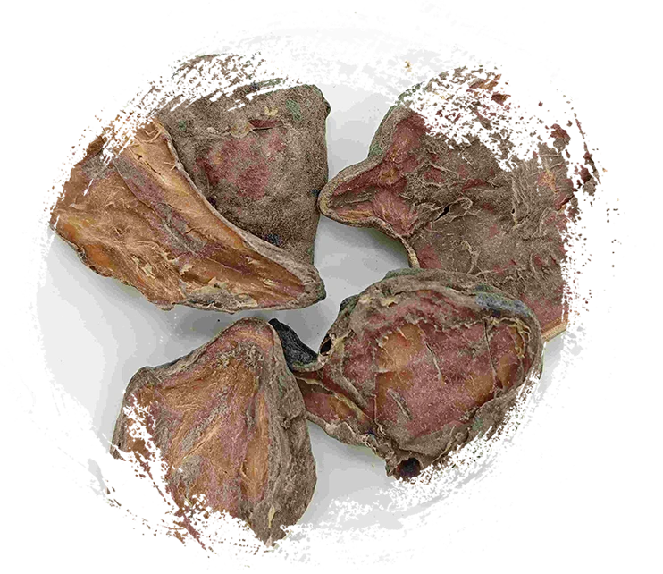 Fatia de aconita preparada, paofupian