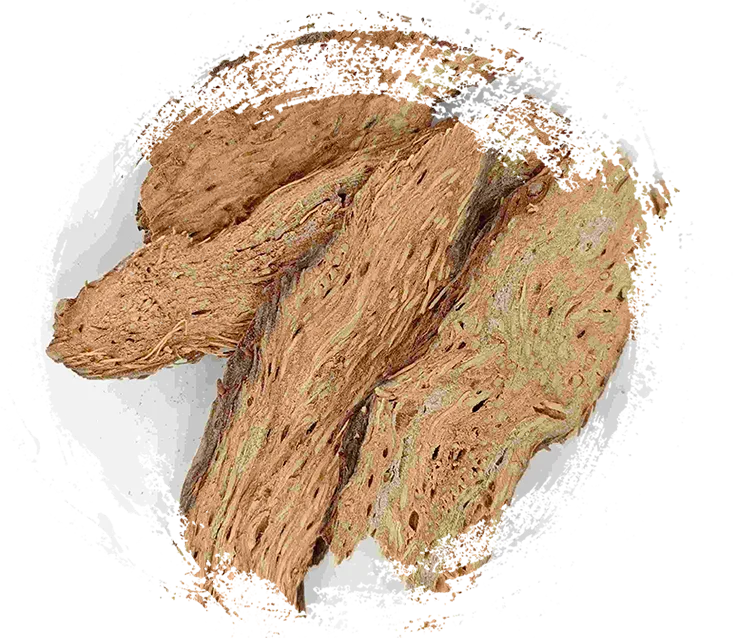 Homalômenos, Qian Nian Jian