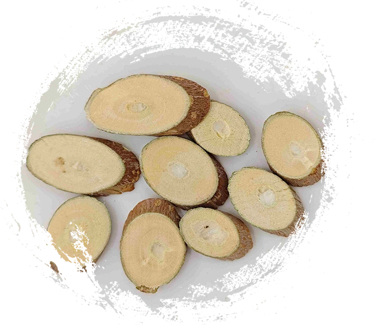 Filial Mulberry (Sangzhi)