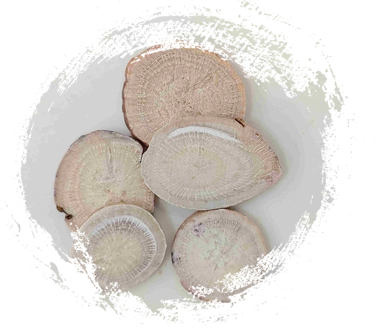 Raiz de peônia branca (Sheng Baishao)