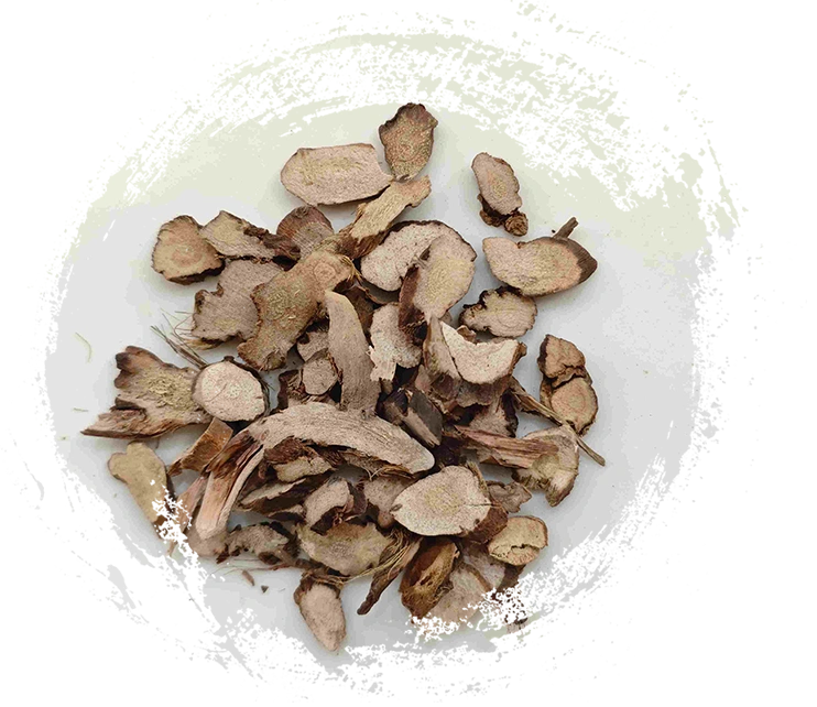 Rizoma de Calamus (Shichangpu)