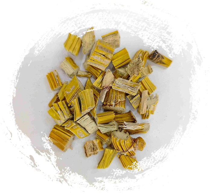 Caule dendrobium (shihu)