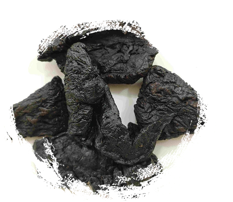 Raiz de Rehmannia processada (Shudihuang)