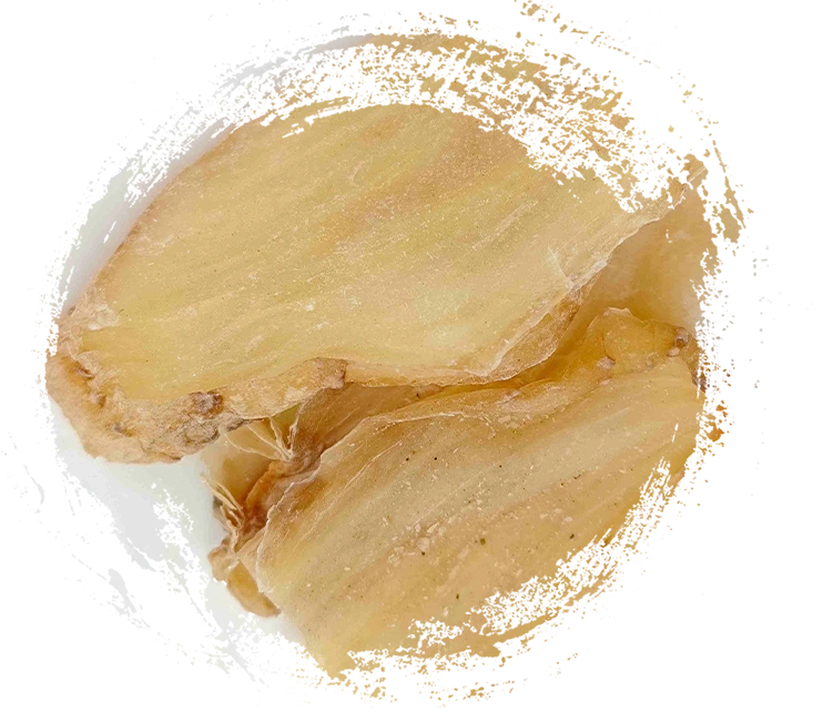 Rizoma Gastrodia (Tianma)