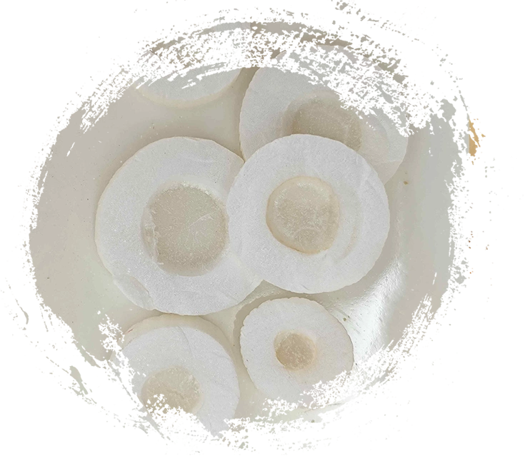 Erva tungcao (tongcao)