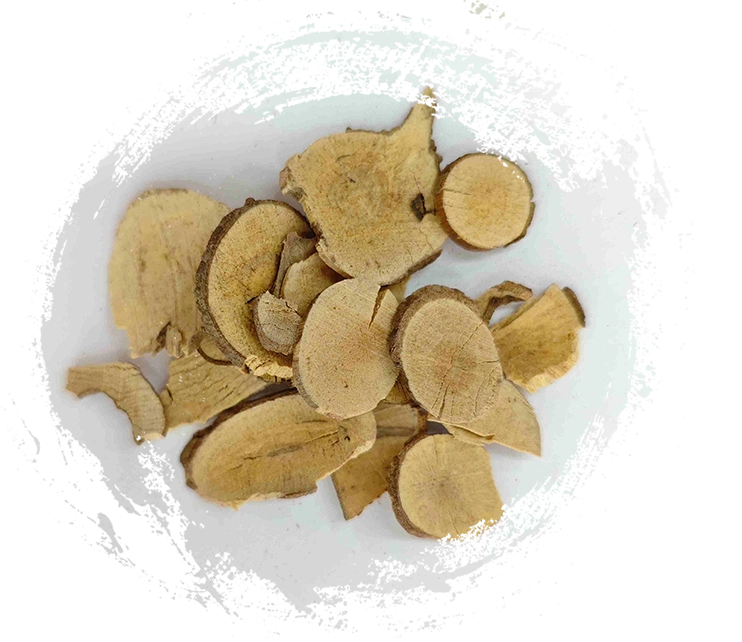 Raiz de Lindera (Wuyao)