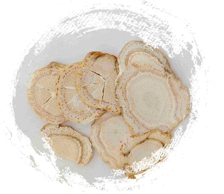 Explorando o Poder da Medicina Tradicional Chinesa com Plantas TCM