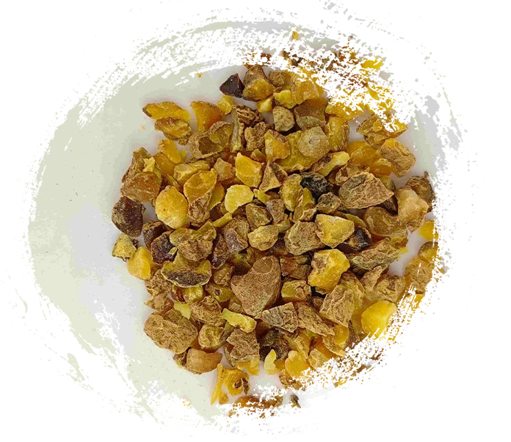 Rizoma Corydalis (Yanhusuo)