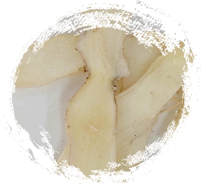 Salomão de Salomão (Yuzhu)