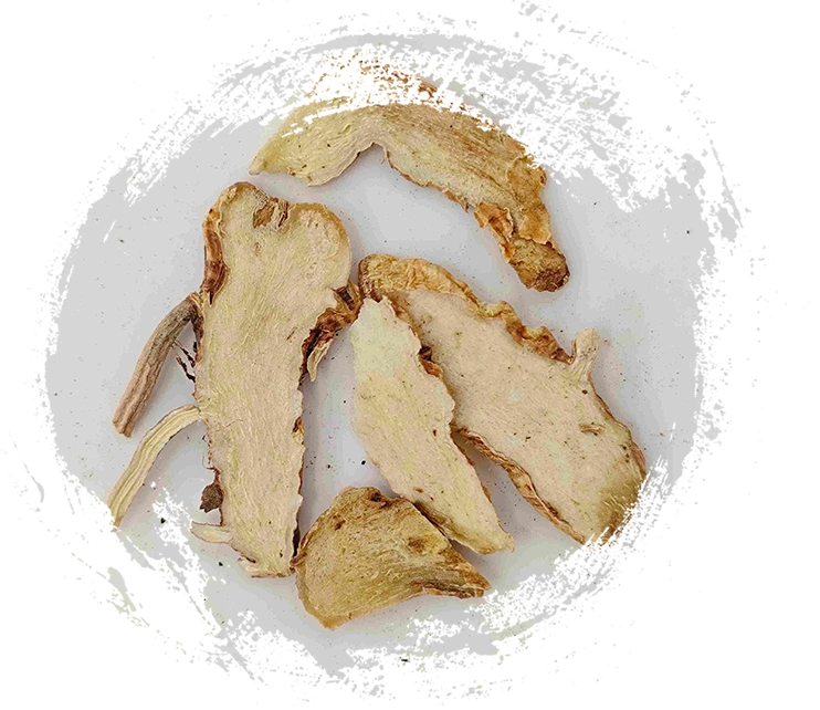 Rizoma de AneMarrhena (Zhimu)