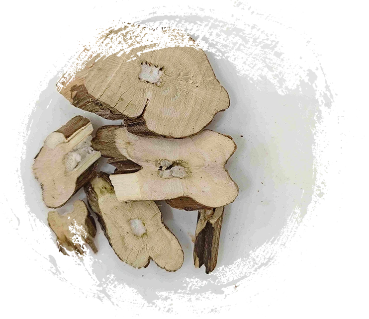 PERILLA STEM (ZISUGENG)