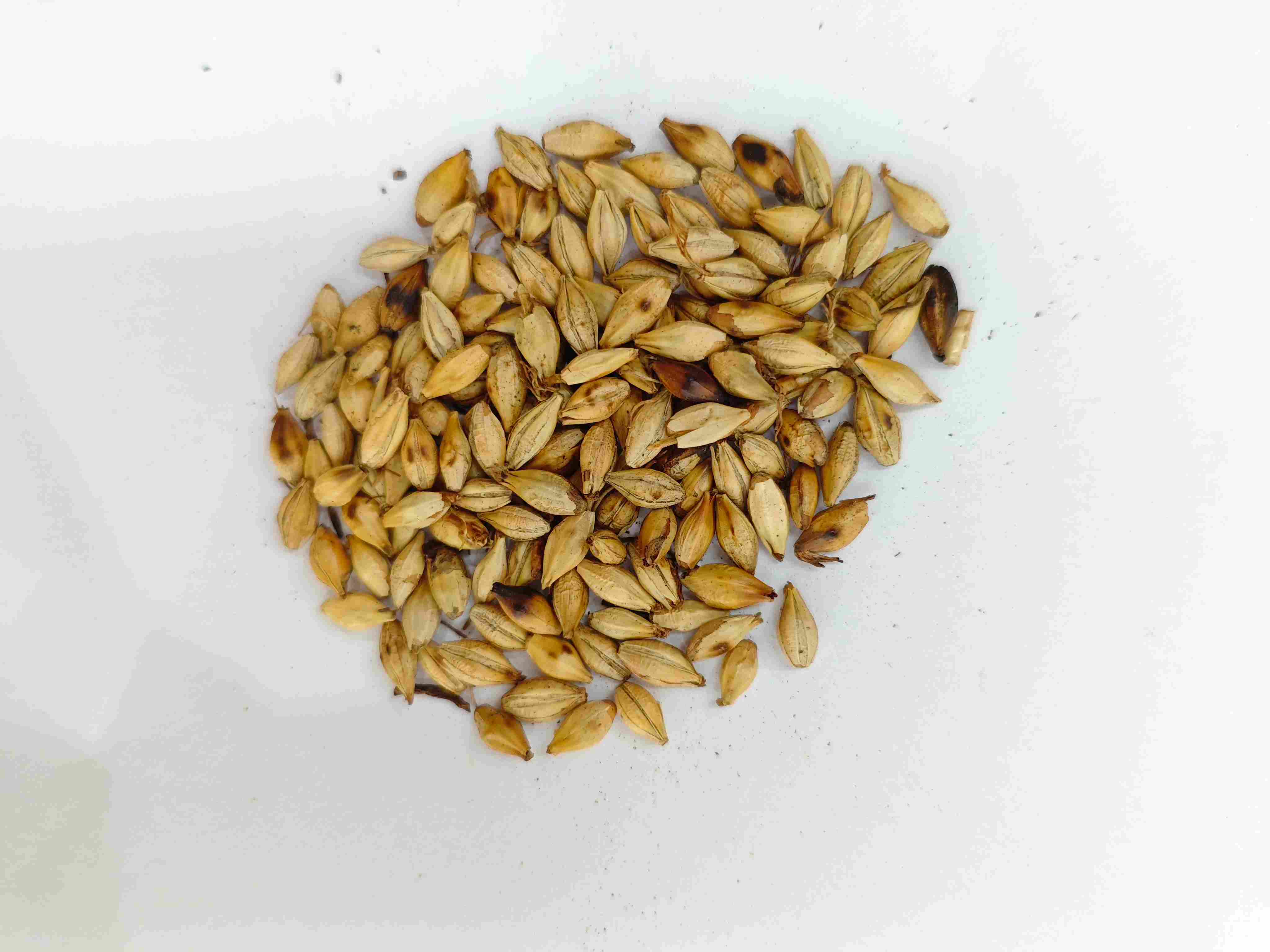 Malte de cevada assada (chǎo mài yá)