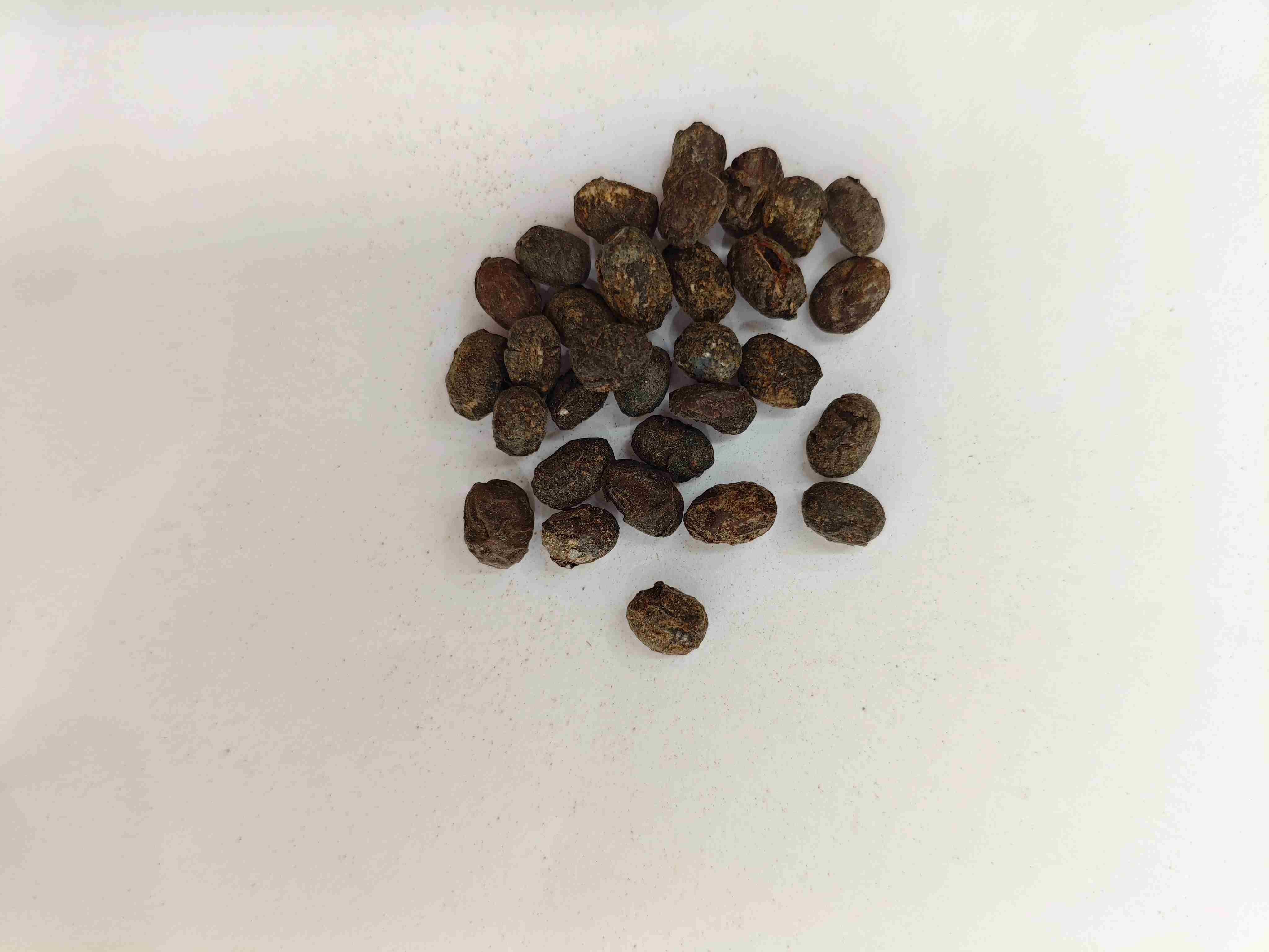 Soja fermentada (Dàn Dòu chǐ)