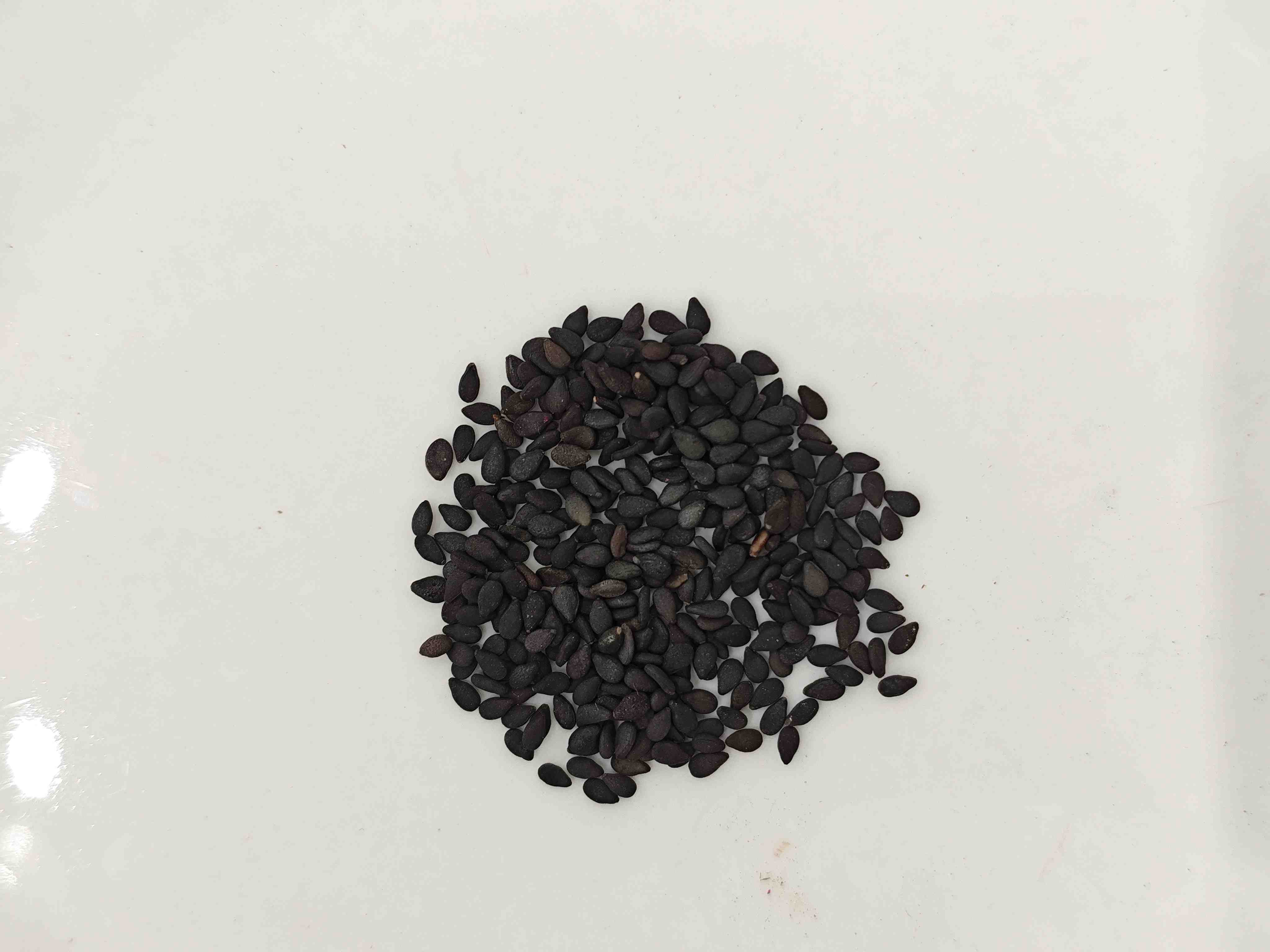 Semente de gergelim preto (hēi zhīm&aacute;)