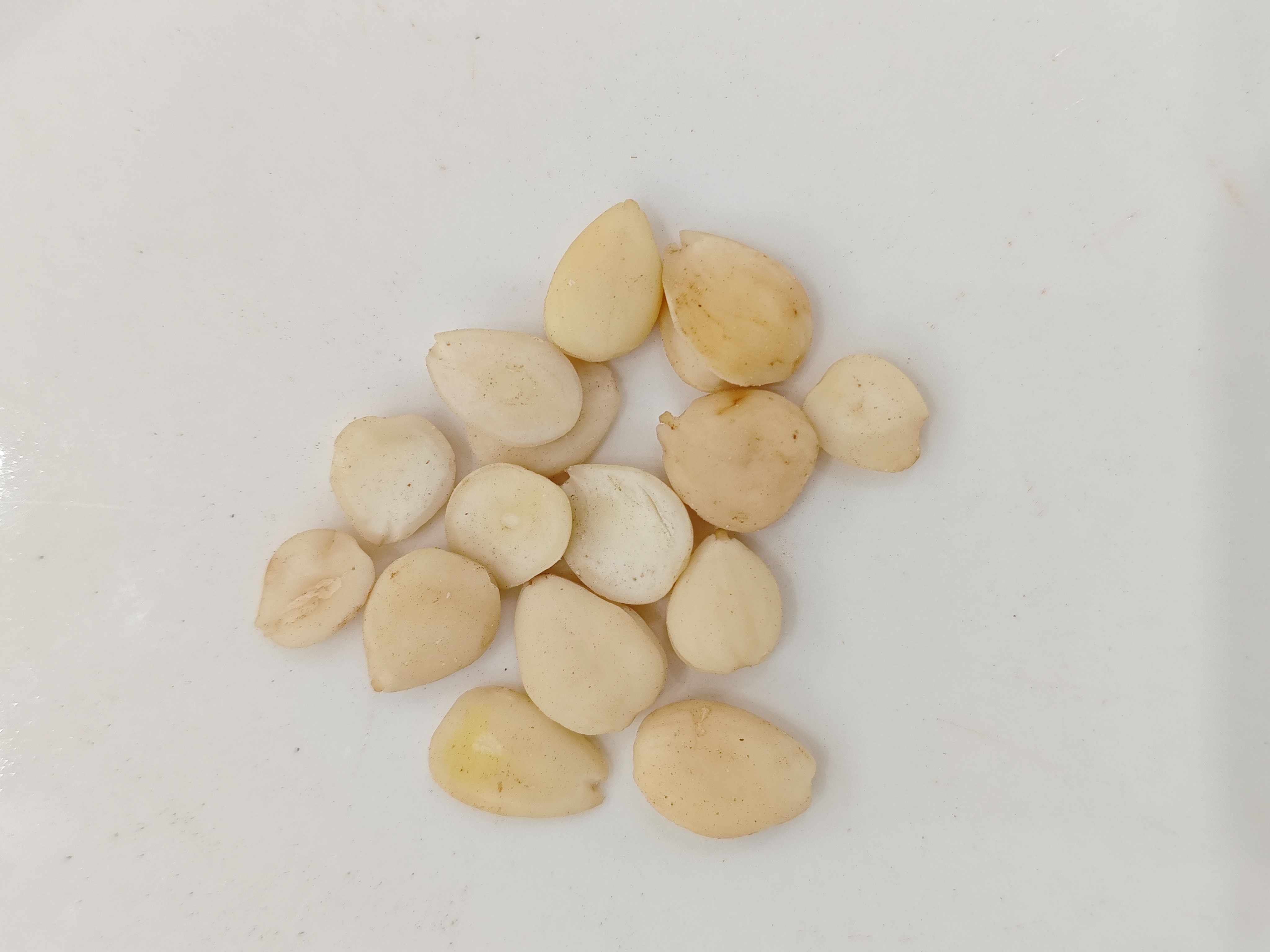 Semente de damasco amargo (kǔ xìngrén)