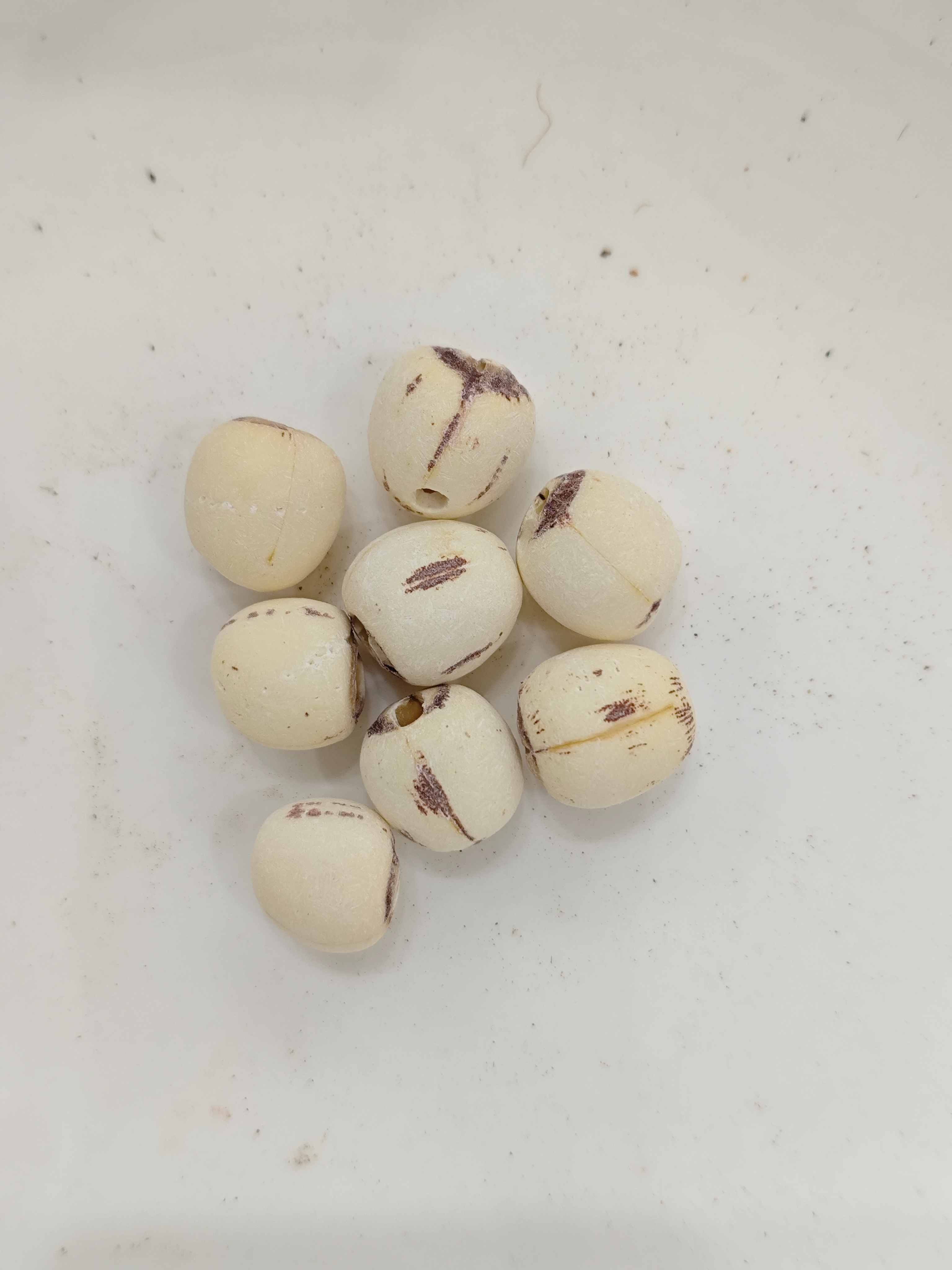 Semente de lótus (liánzǐ)