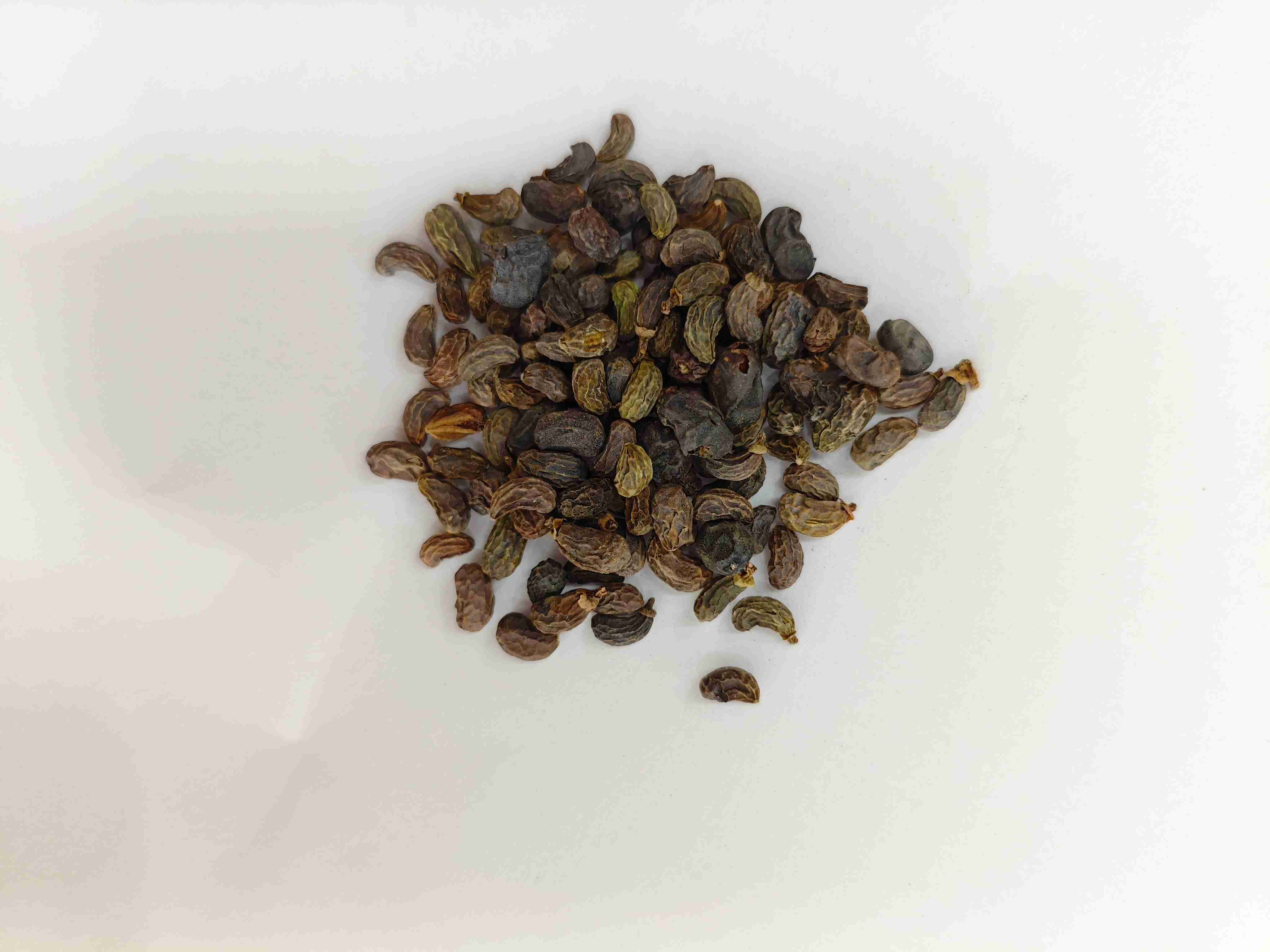 Fruta do Ligustrum (nǚzhēnzǐ)