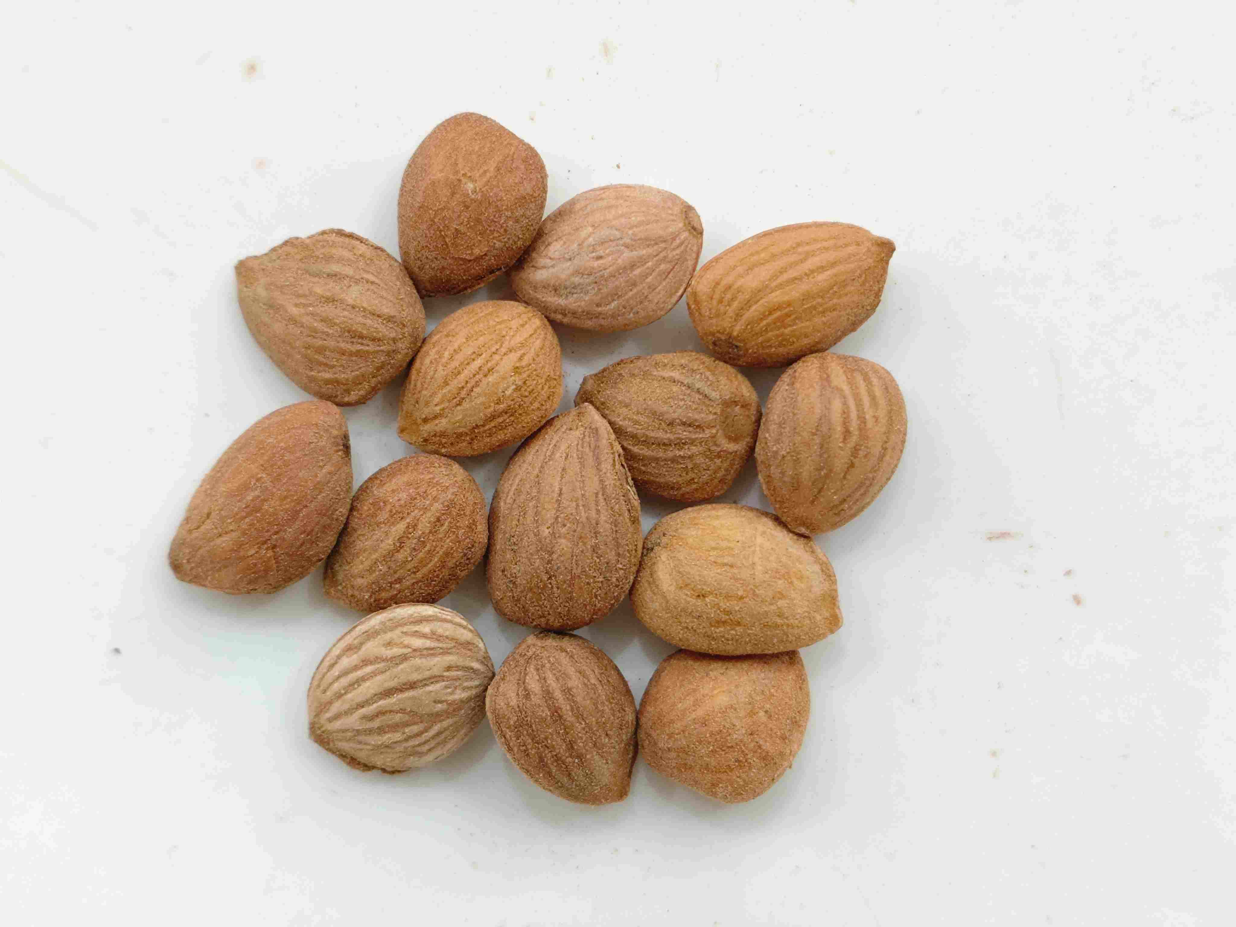 Kernel de pêssego (Táorén)