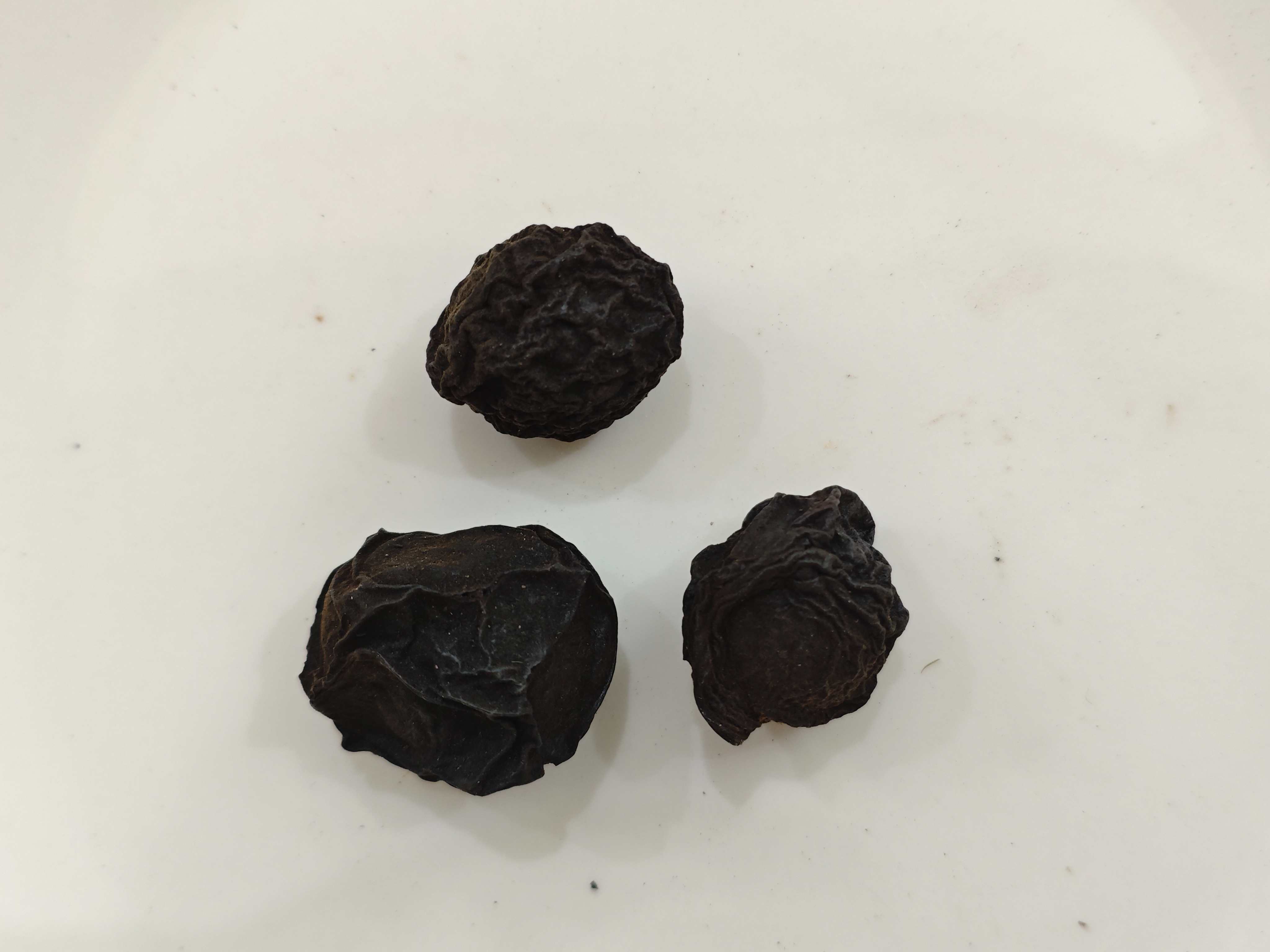 Plum Chinese (Wūméi)