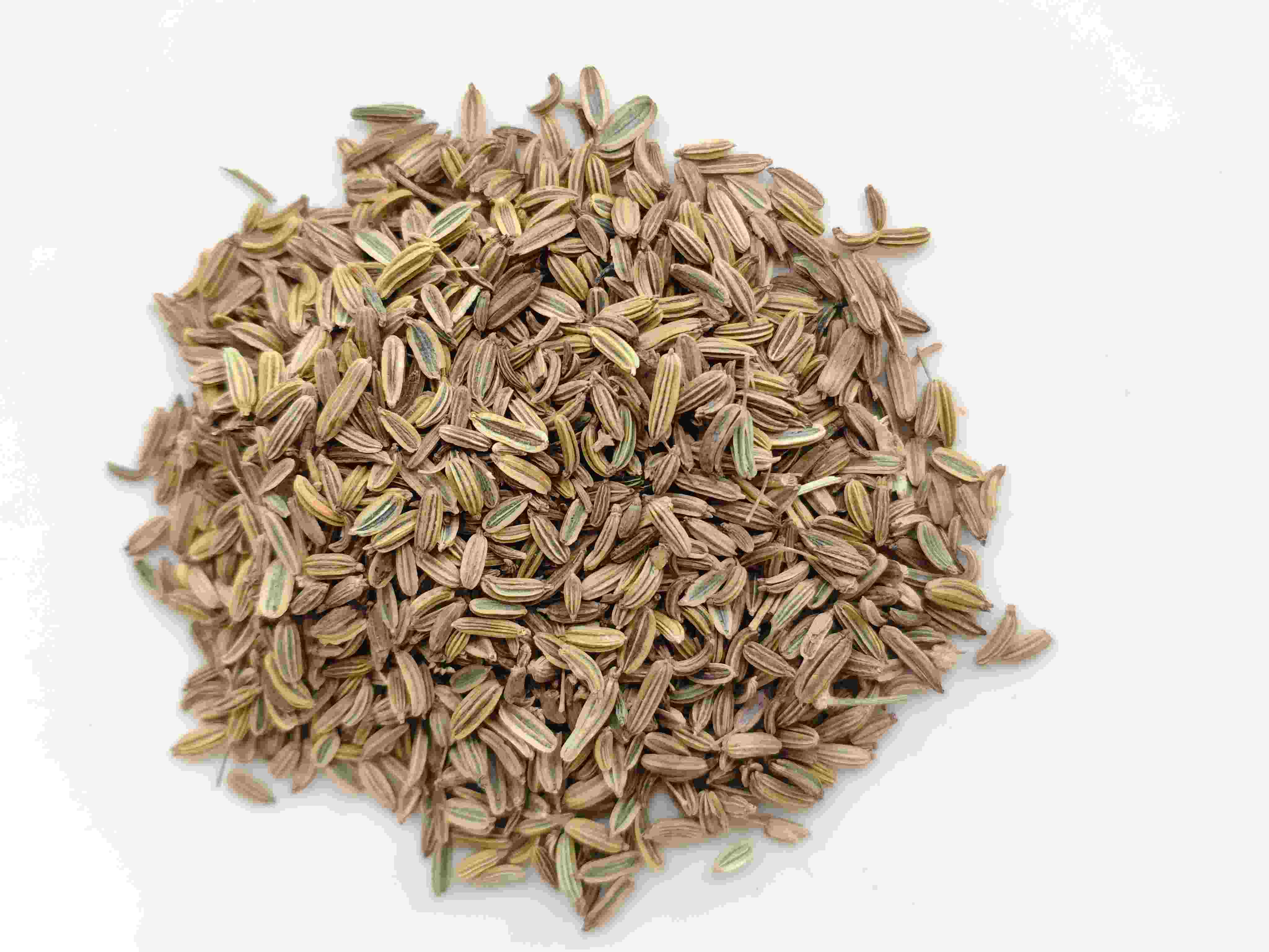 Semente de erva -doce (xiǎo huíxiāng)