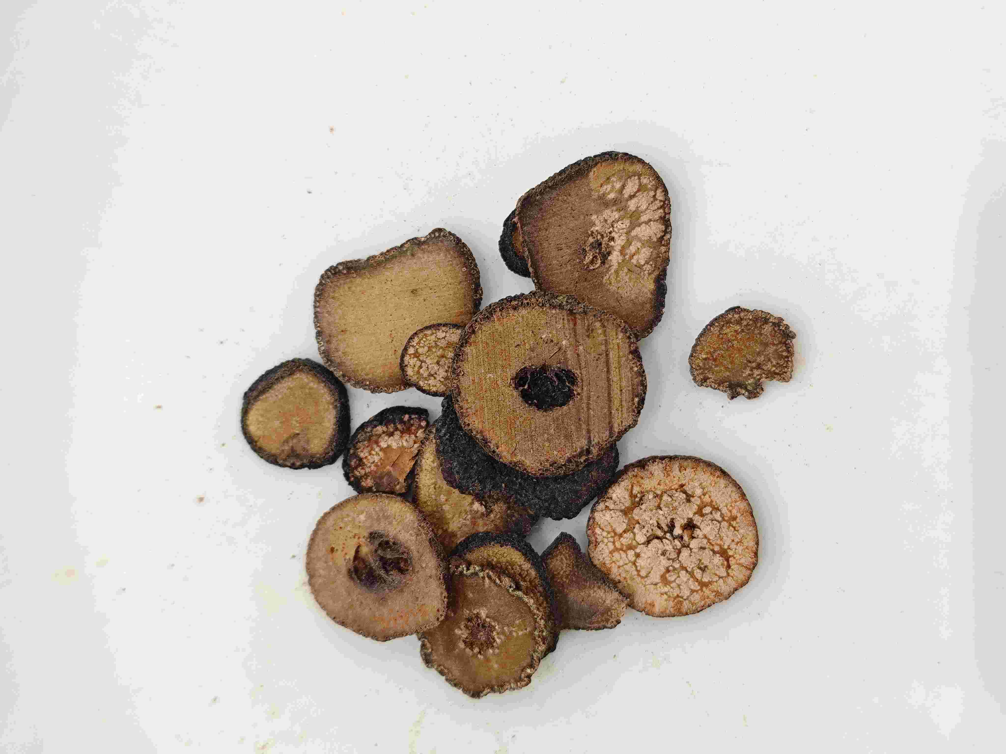 Laranja amarga imaturo (zhǐshí)