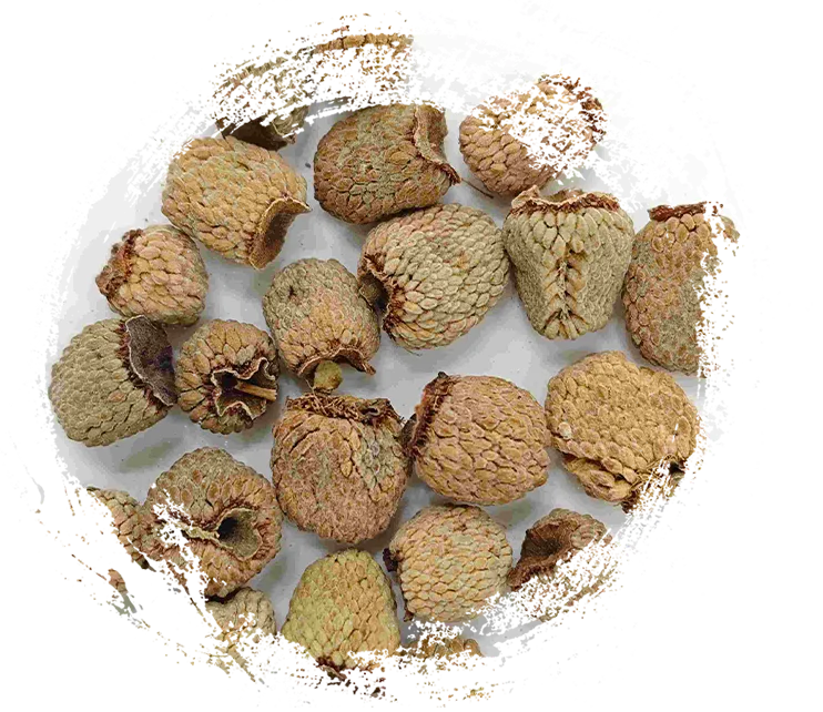 Frutas de framboesa (fù pén zǐ)