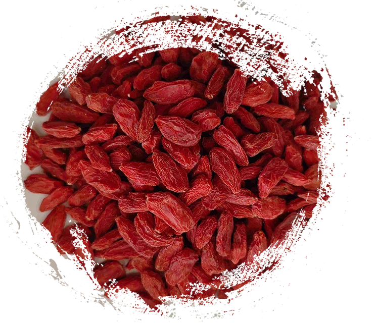 Principais ervas chinesas e suas funções: soluções naturais para a saúde diária.