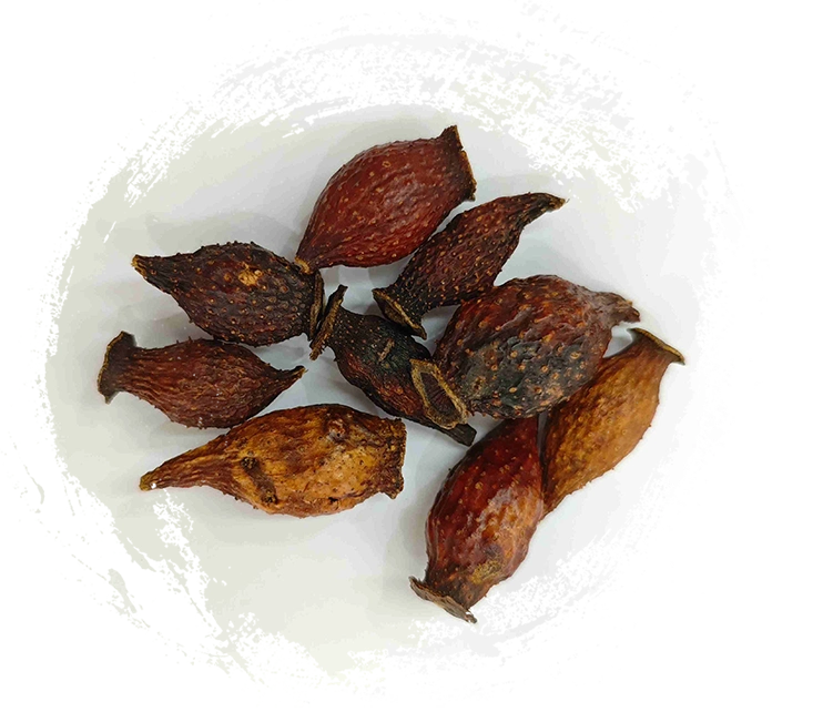 Framboesa dourada (jīnyīngzǐ)