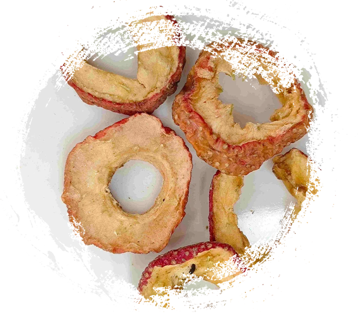 Compreendendo as funções das plantas à base de plantas na medicina tradicional chinesa